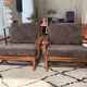 Fauteuils et table Mc Guire (ensemble de 3)