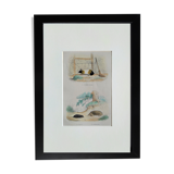 Original Zoological Plate "Guinea Pig, Mole,... - Buffon 1836