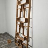 Room Divider by Ludvik Volak for Drevopodnik Holesov, 1950s