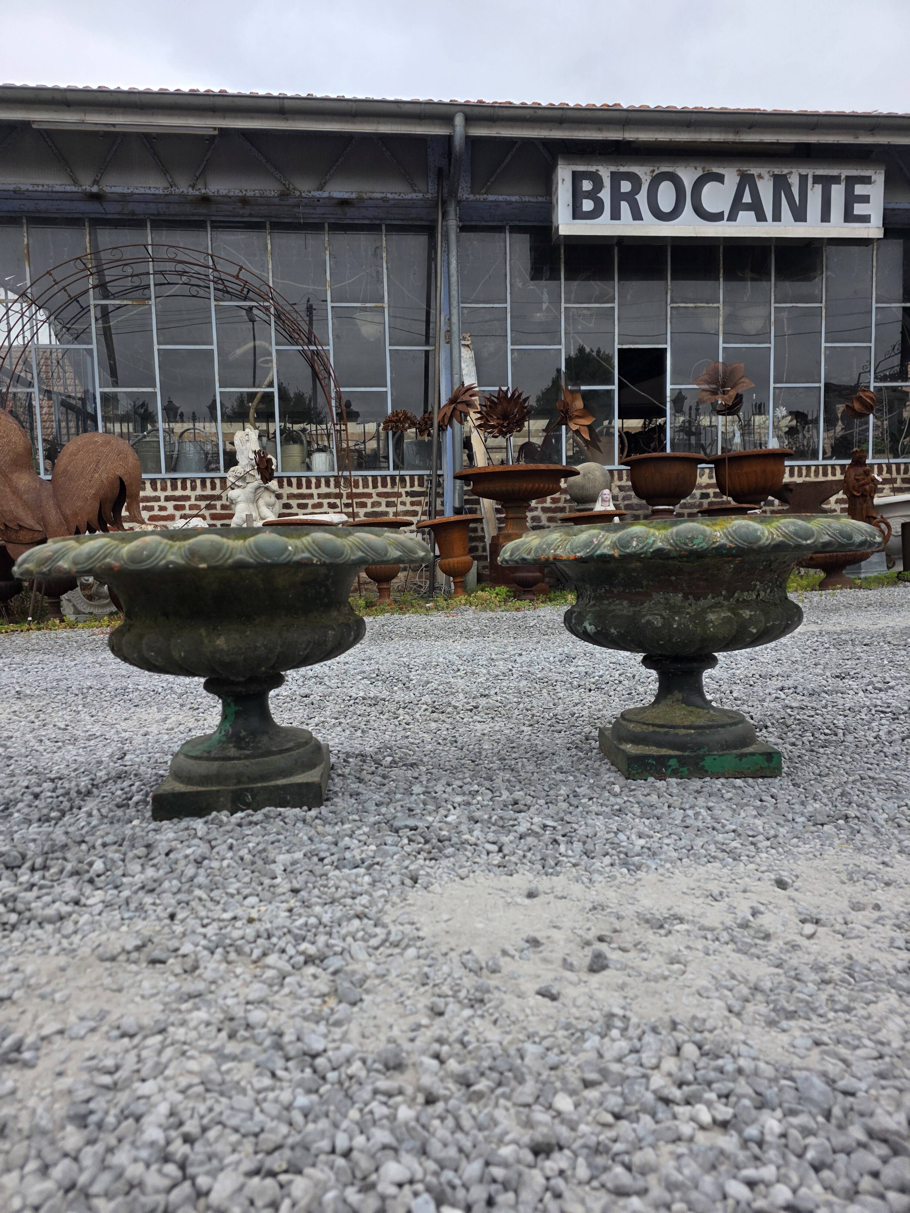 Pair of Medici vases in cast iron from the 19th century, 55cm wide.