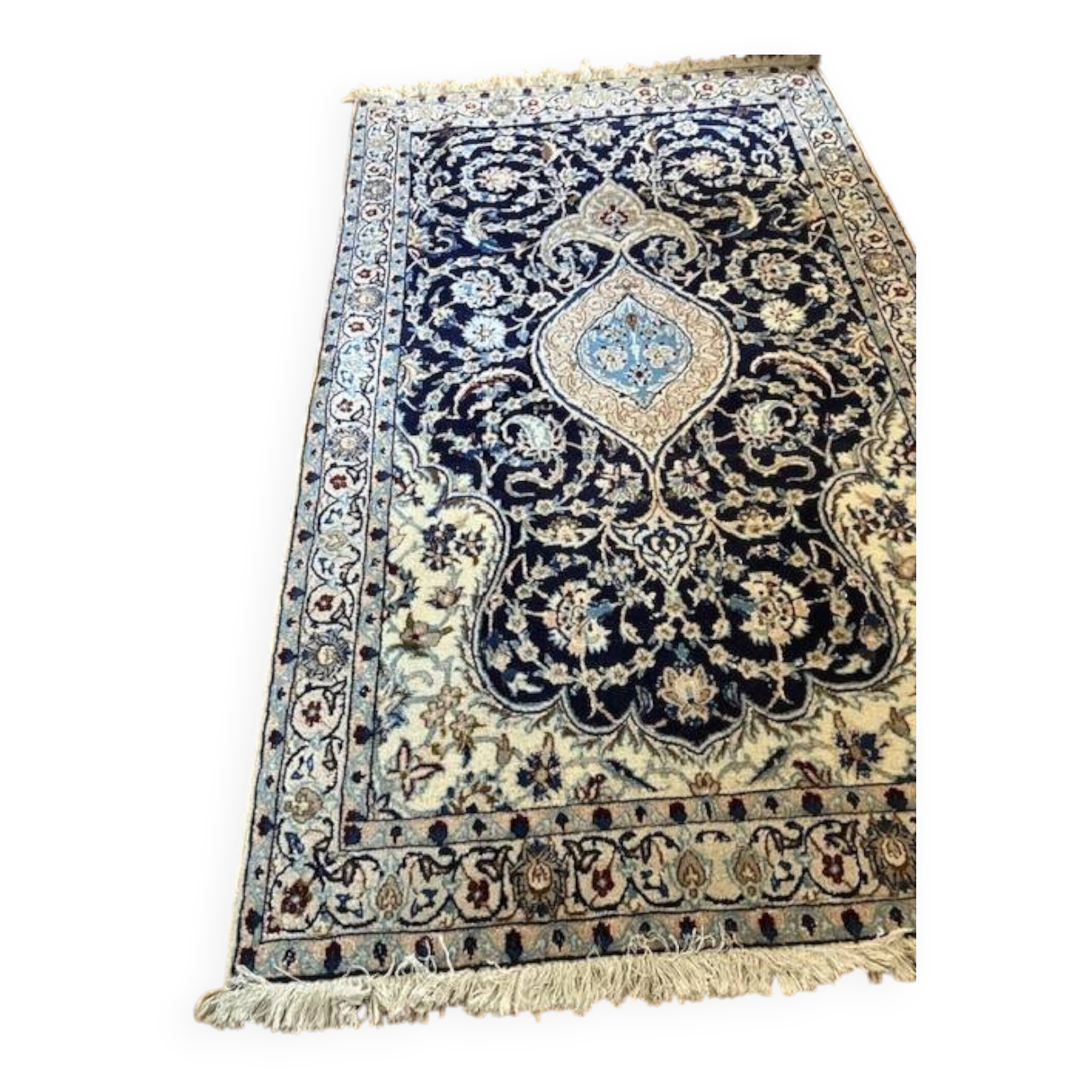 Hand-knotted Oriental rug