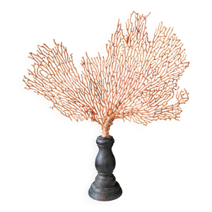 Gorgone Rouge Socle en