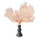 Red Gorgon Base in brown. H: 29 cm | Decorative Object & Curiosity