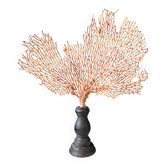 Gorgone Rouge Socle en marron. H : 29 cm | Objet de Décoration & Curiosité