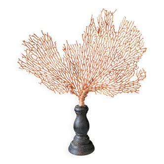 Red Gorgon Base in brown. H: 29 cm | Decorative Object & Curiosity