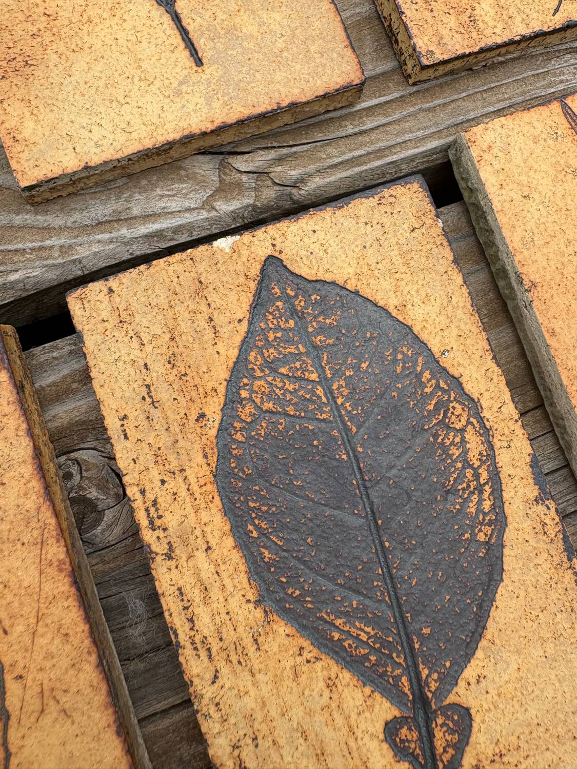 Set of 52 Vallauris herbarium tiles signed Capron