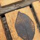 Set of 52 Vallauris herbarium tiles signed Capron