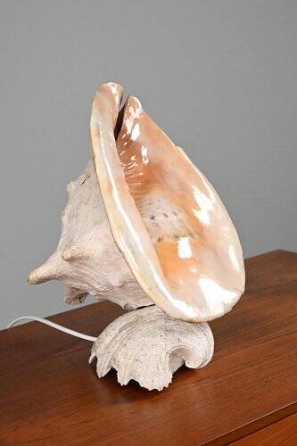 Vintage Shell Lamp