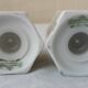 Rosenthal porcelain salt and pepper shaker