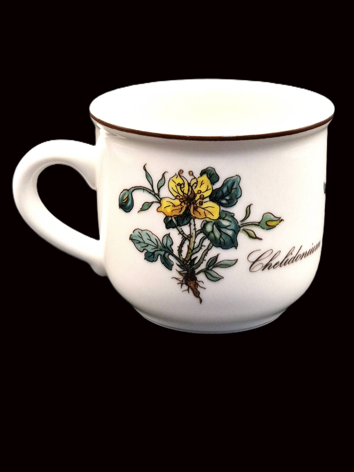 Set of 6 coffee cups and saucers Villeroy & Boch, vintage, Botanica
