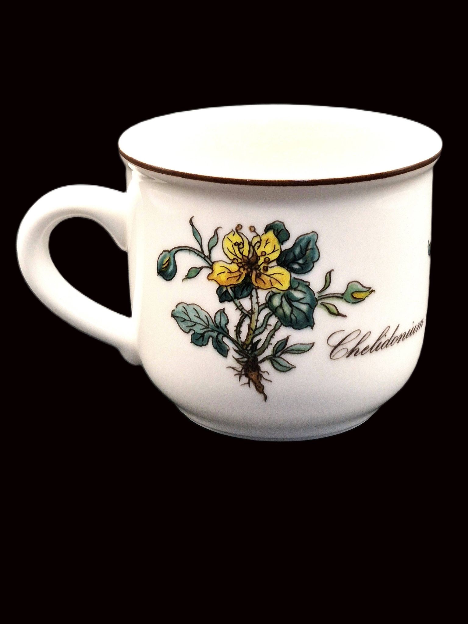 Set of 6 coffee cups and saucers Villeroy & Boch, vintage, Botanica