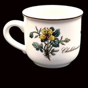 Set of 6 coffee cups and saucers Villeroy & Boch, vintage, Botanica