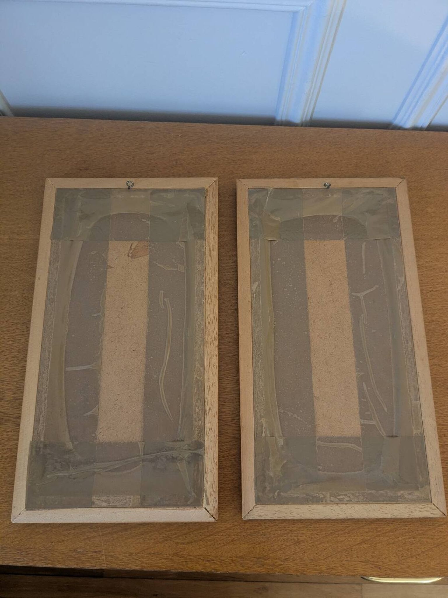 Lithographs of butterflies