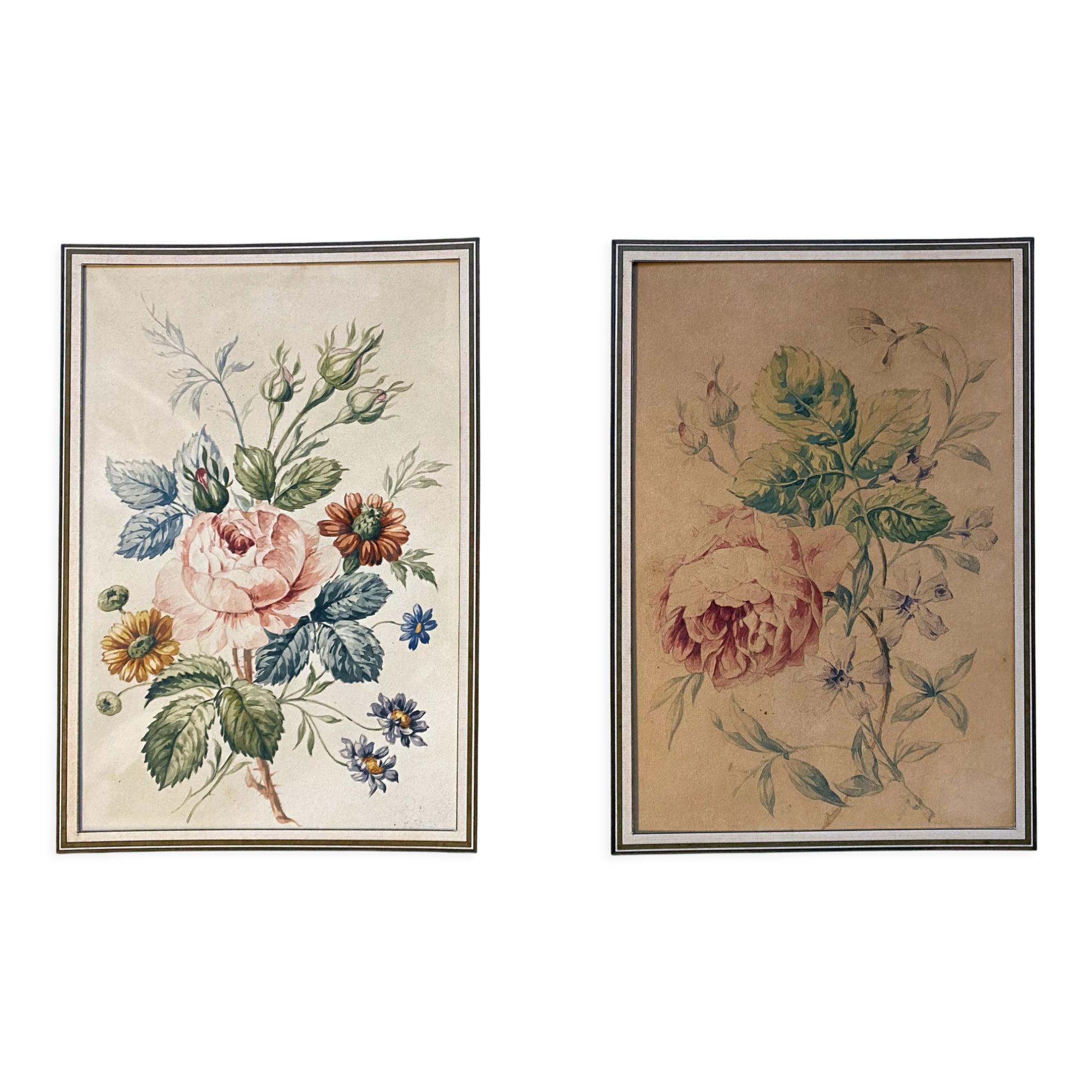 Pair of watercolors "Studies of roses" XIX°