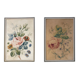 Pair of watercolors "Studies of roses" XIX°