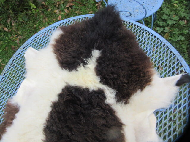 Sheepskin