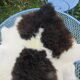 Sheepskin