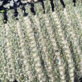 Tapis berbere Beni Ouarain 90x180 cm