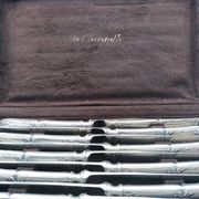 Set of 12 sfam knives in silver metal and stainless steel blades.