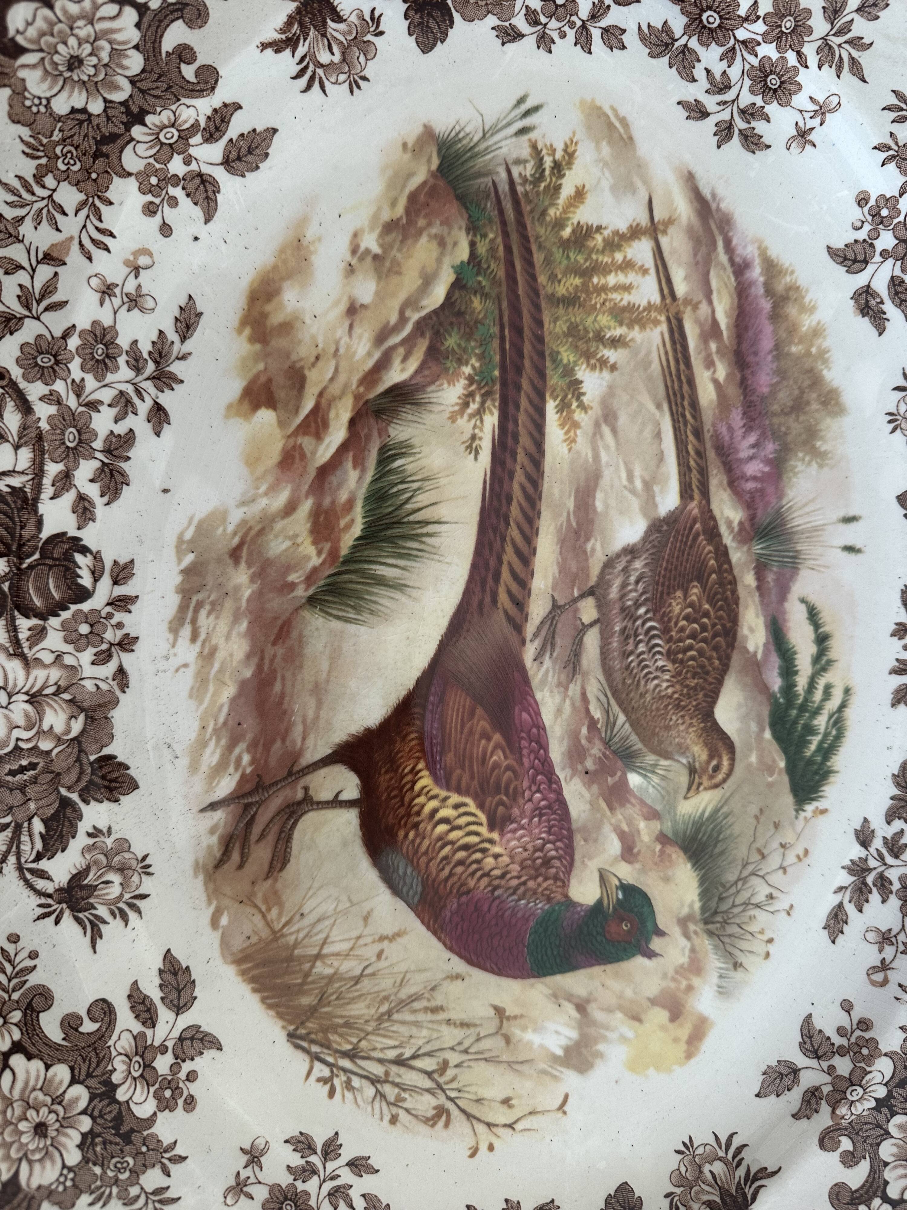 Large antique English plate Palissy - Worcester Game Series - Pheasants