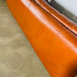 Sofa "Bengodi" by Cini Boeri for Arflex, Italy 1960's