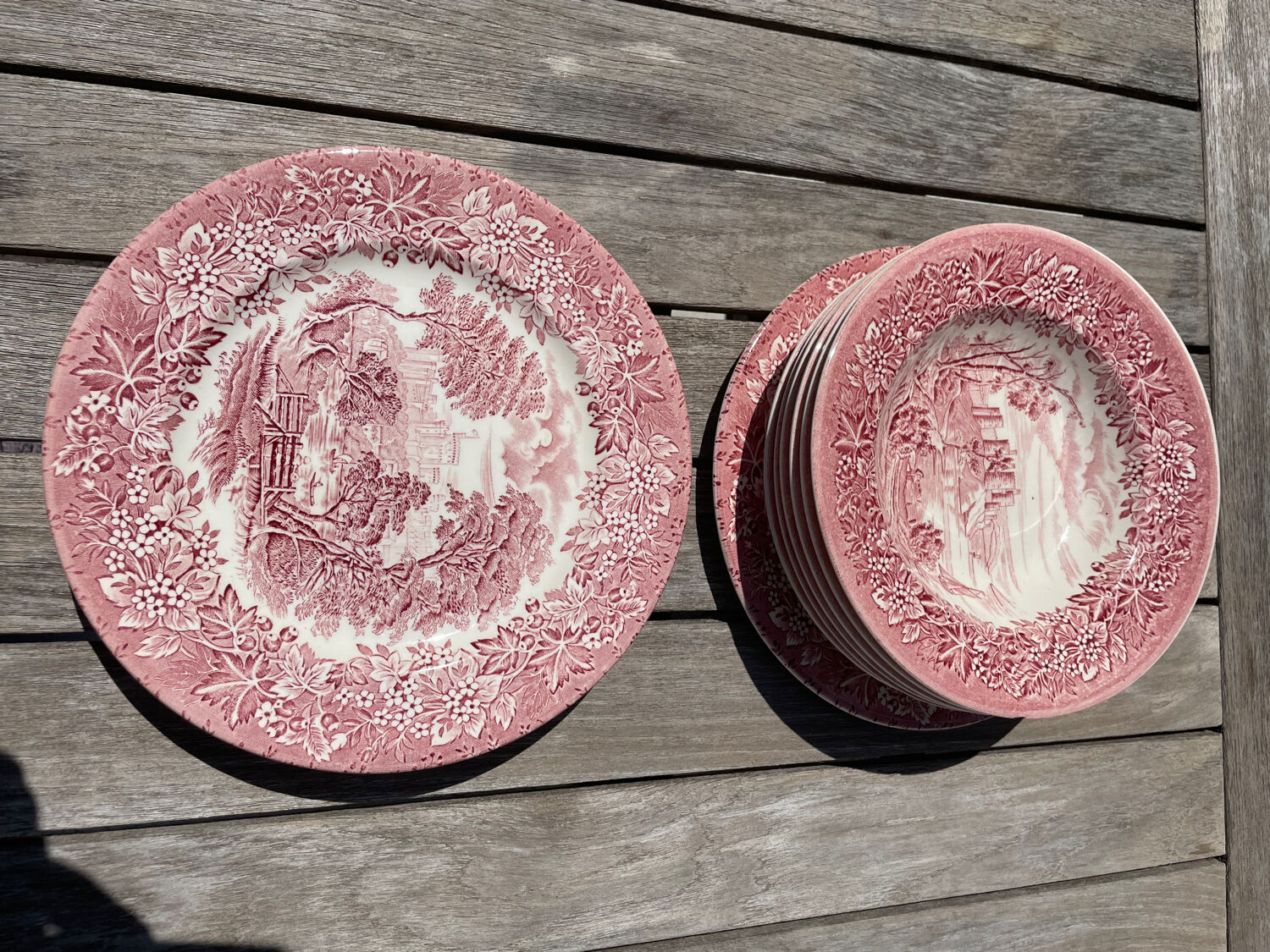 Lot 6 flat plates and 6 hollow English Iron Earth English Ironstone