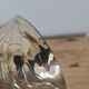 Vintage art deco walnut-shaped box in silver metal