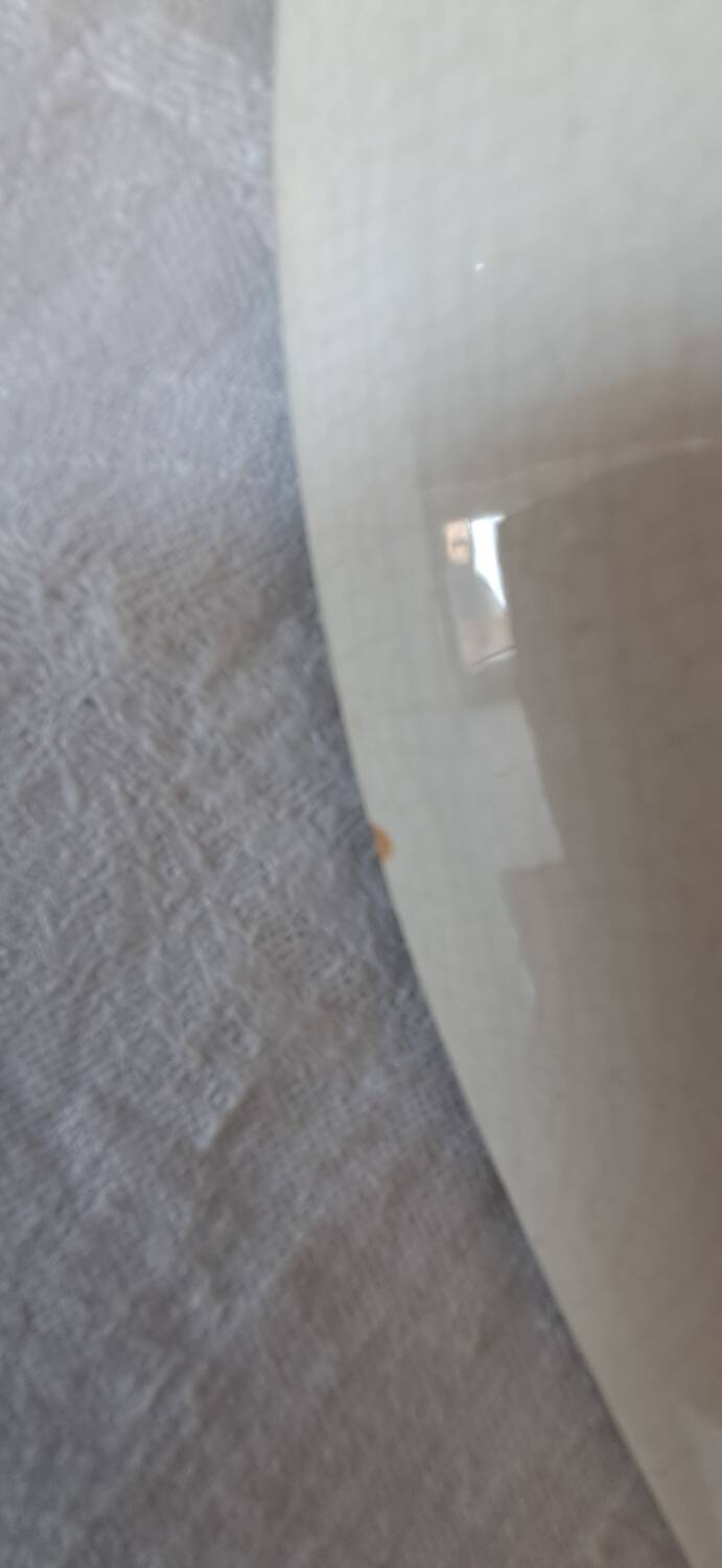 Valence model dish from Digoin Sarreguemines. Vintage