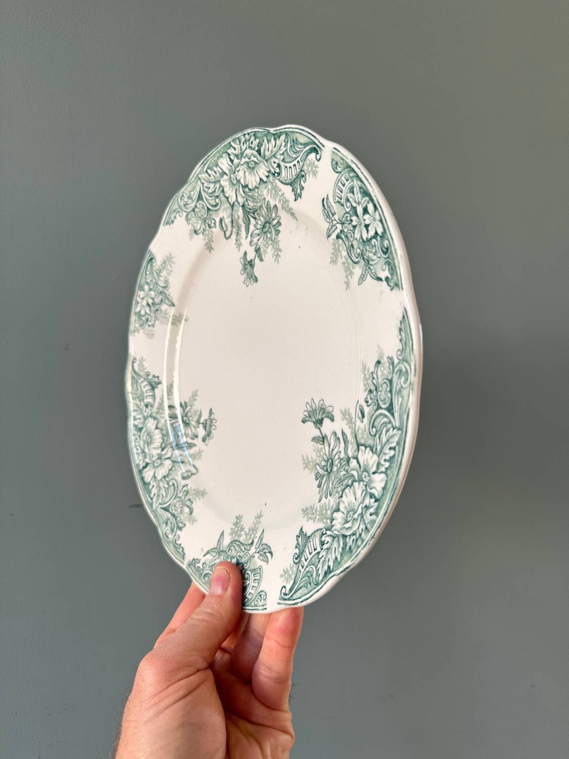 Série de 8 assiettes plates Terre de Fer XIXème, collection Sylvia