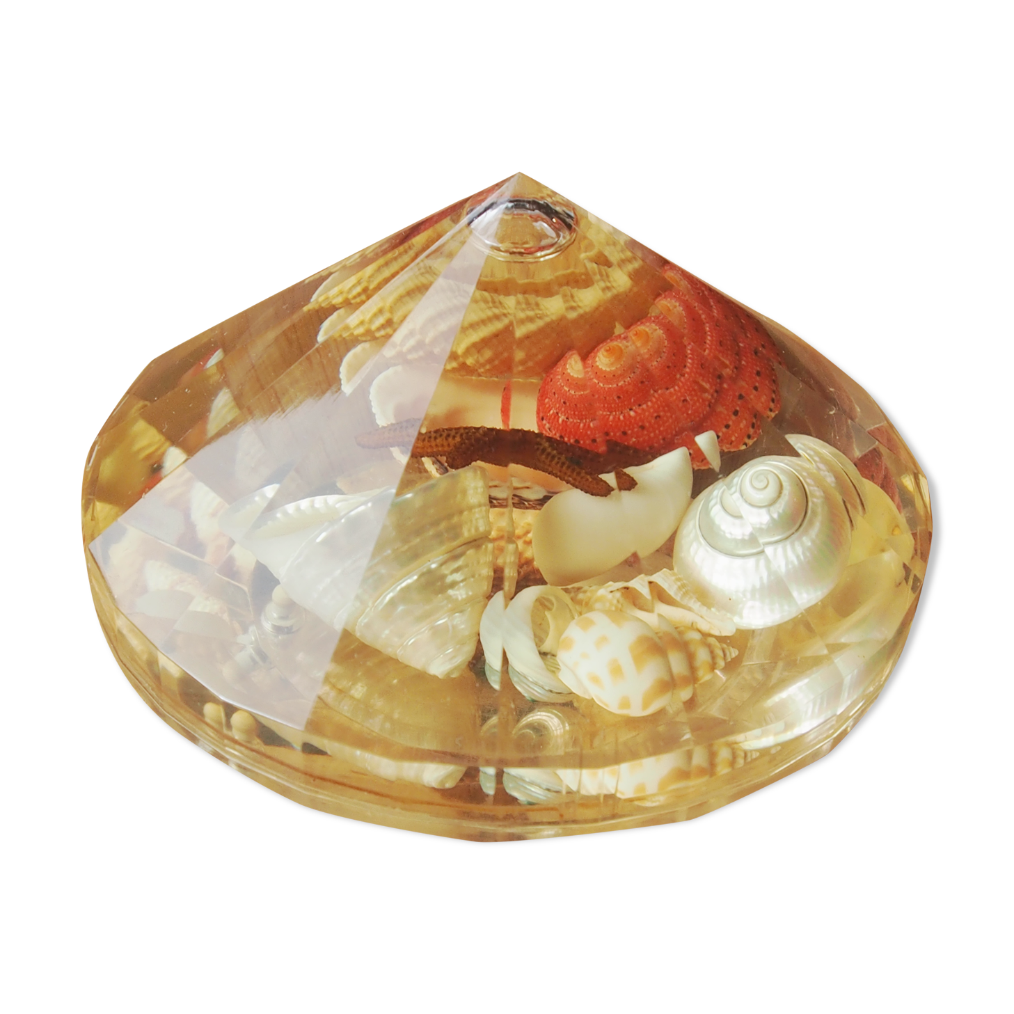 Resin clipboard with inclusion of shells, diamond-shaped