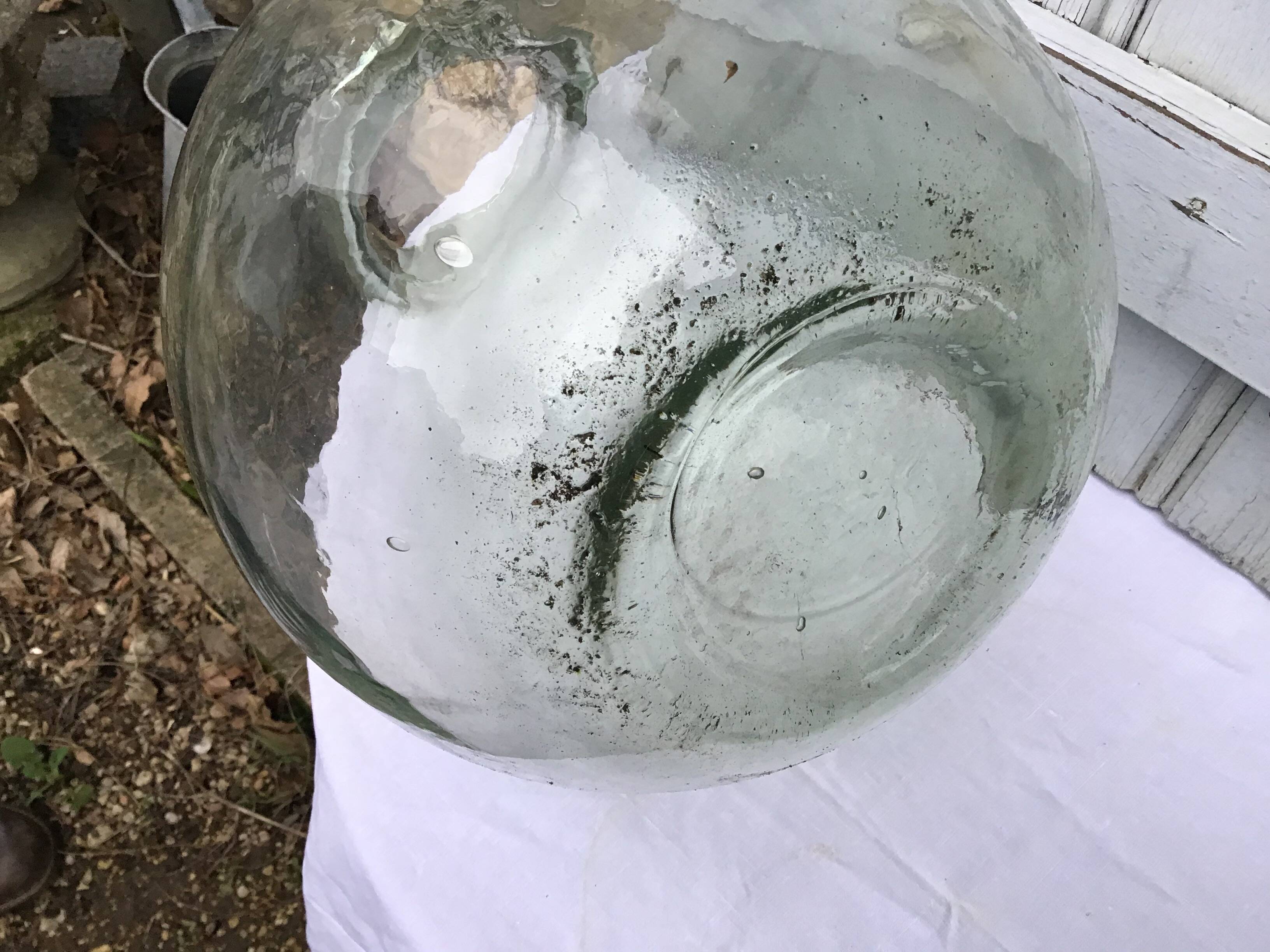 Vintage glass carboy