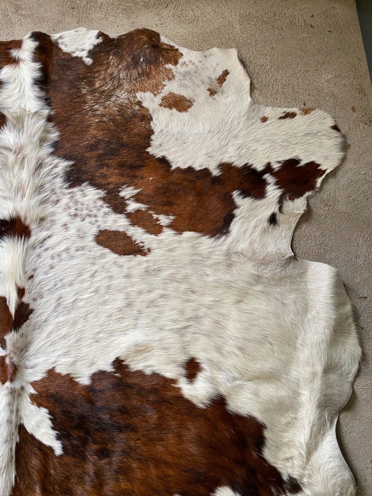 Cowhide carpet white and brown 1970 230 x 219
