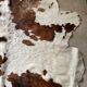 Cowhide carpet white and brown 1970 230 x 219
