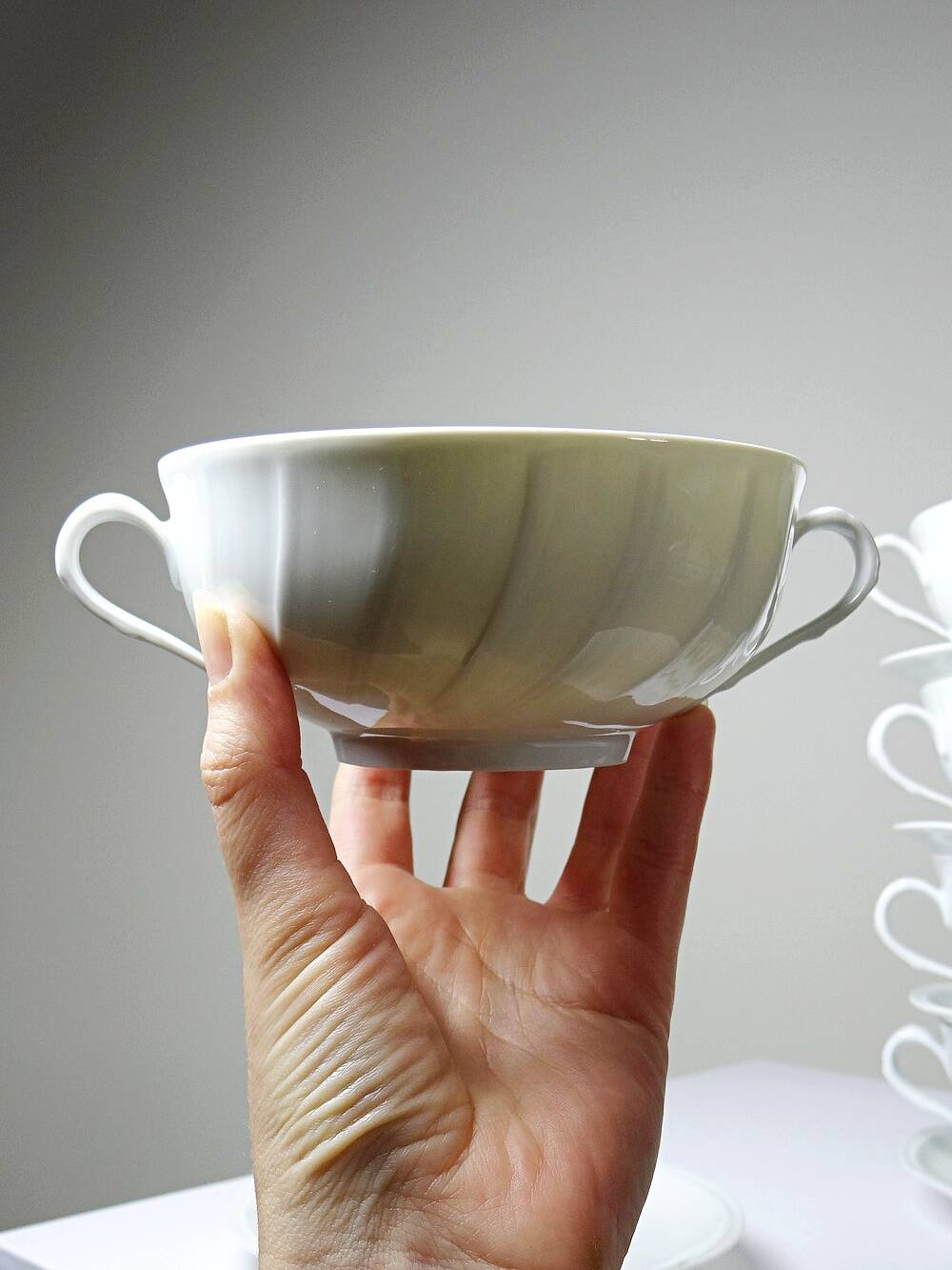 5 cups with two handles, Limoges porcelain Bernardaud "Palm"