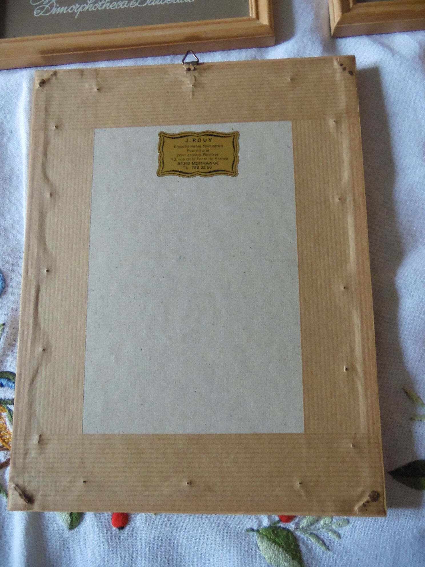 Lot 4 botanical frames 70