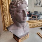 Bust of Alexander the Great