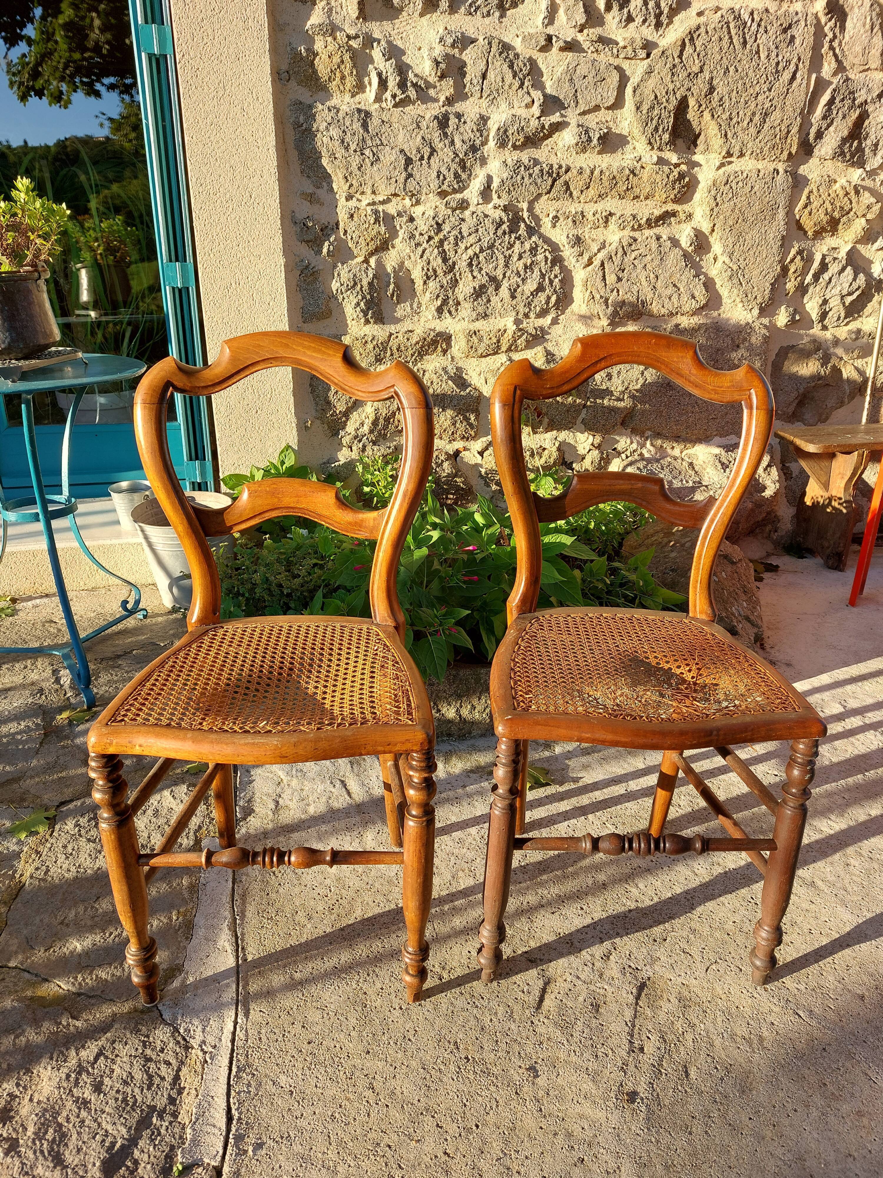 Lot of tanned chairs