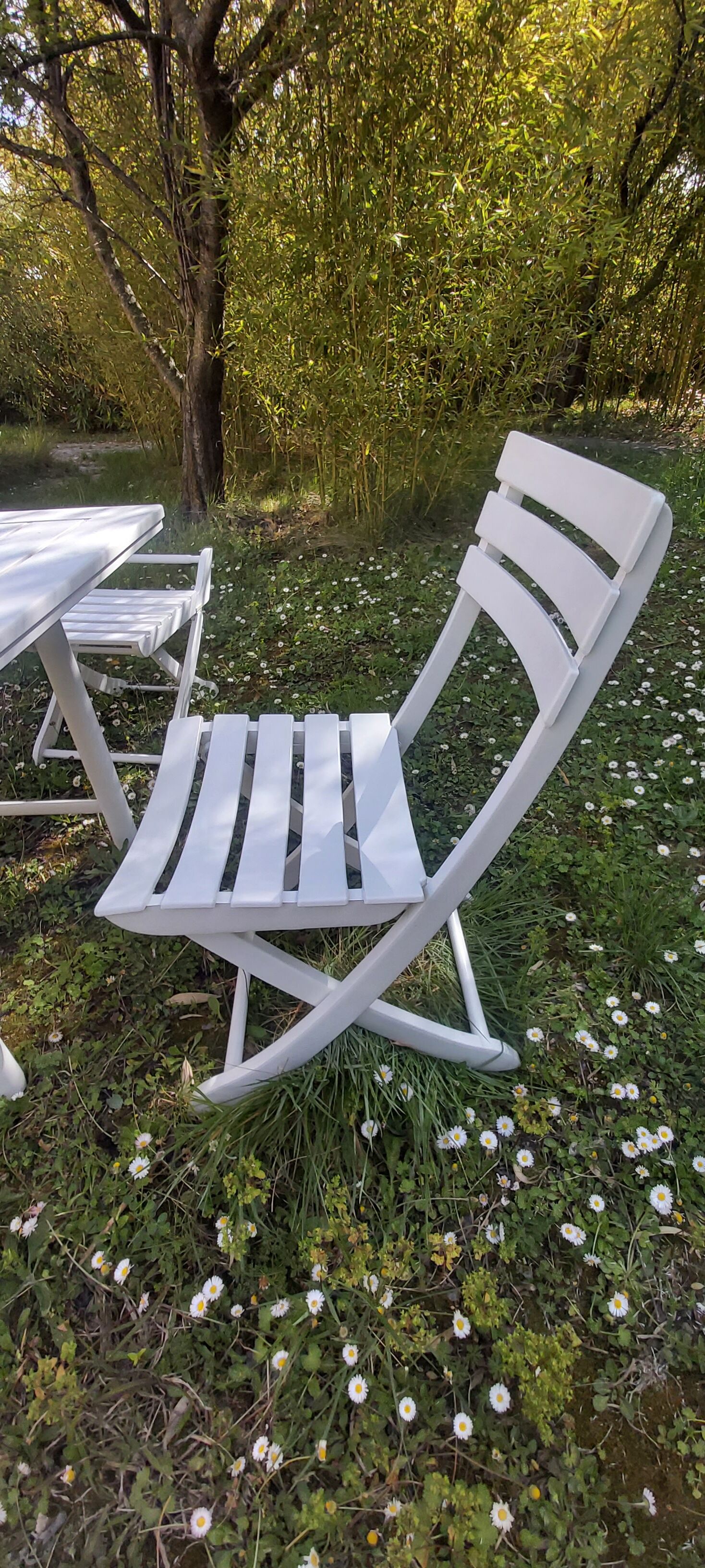 Vintage Triconfort garden set