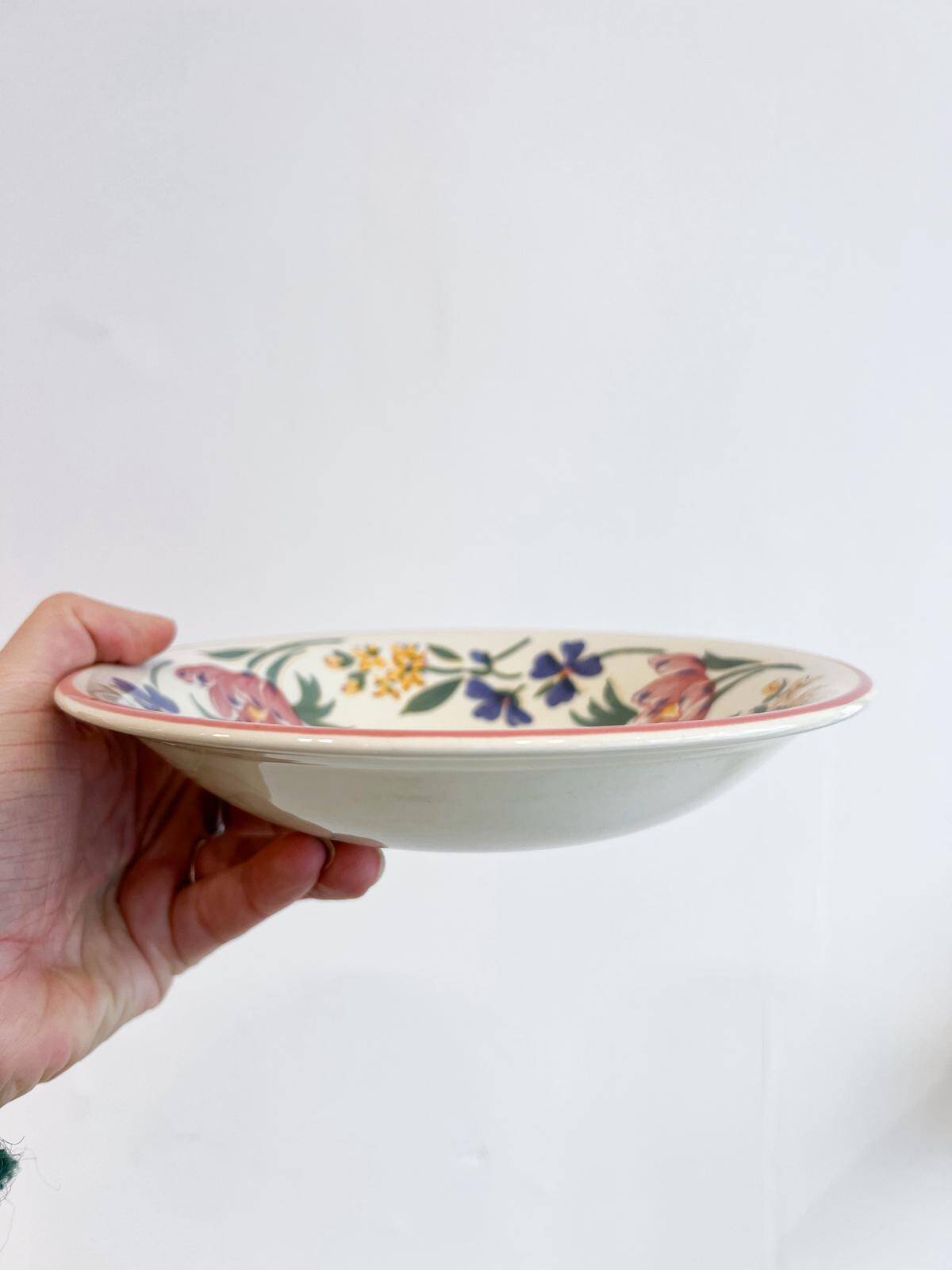 10 deep plates Staffordshire - England