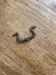 Small furniture handle, old vintage
