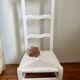 Chaise en bois paillée ancienne blanche