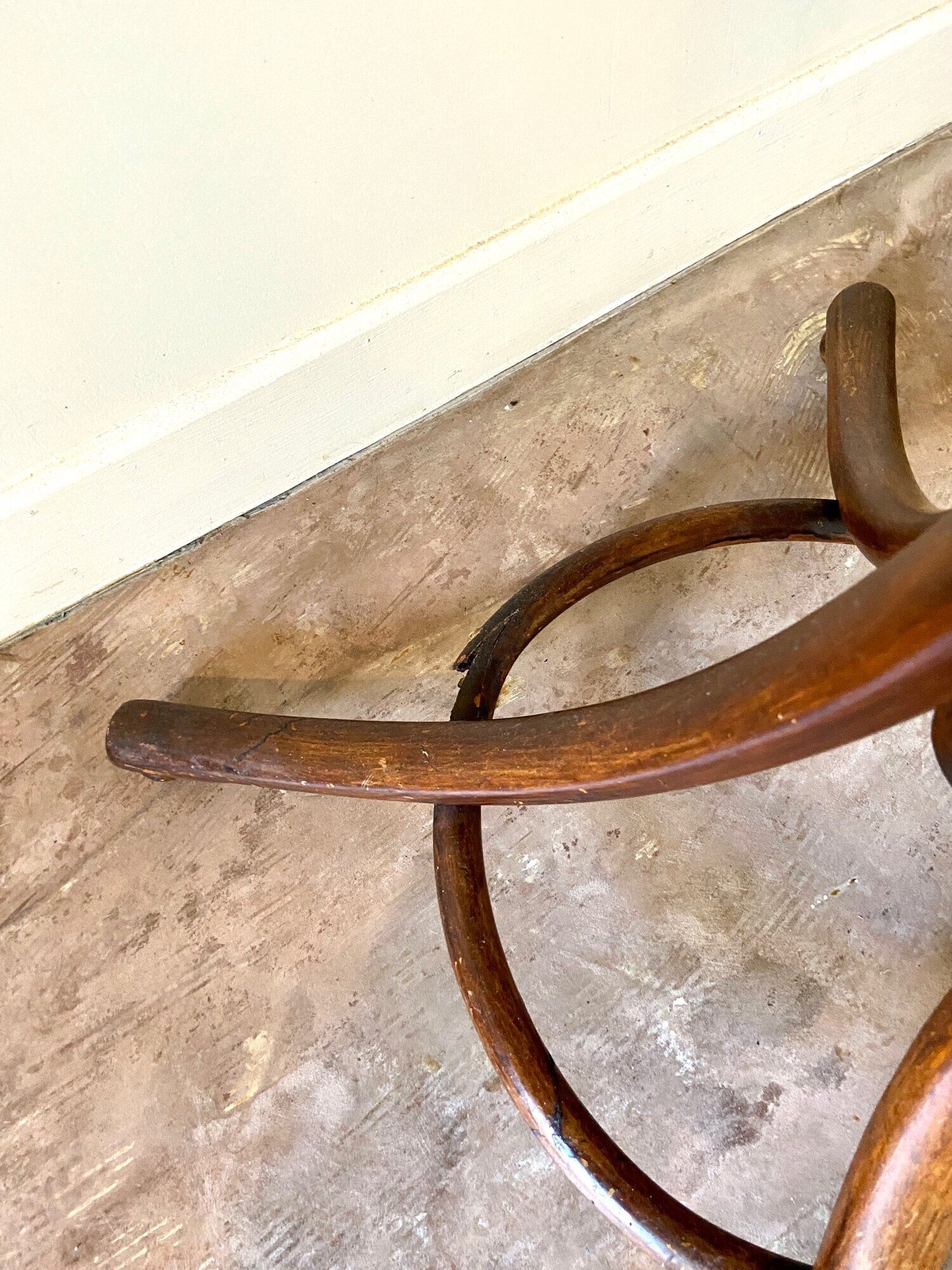 Parrot and dark arched beech coat rack