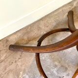 Parrot and dark arched beech coat rack