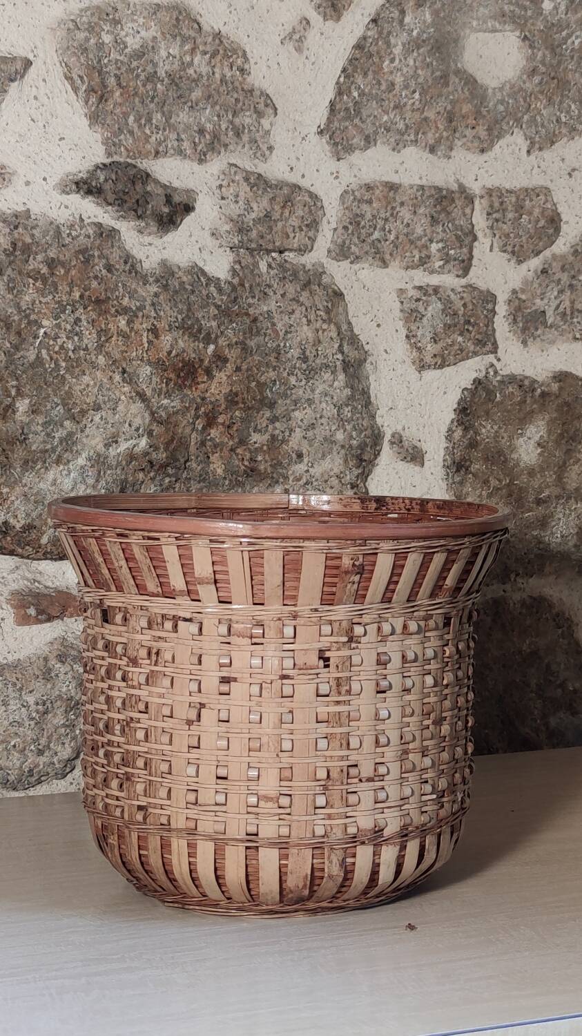 Rattan plant pot