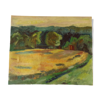 Oil on landscape canvas