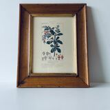 Framed botanical poster