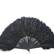 Art Deco Polish Austria feather fan, 1920s