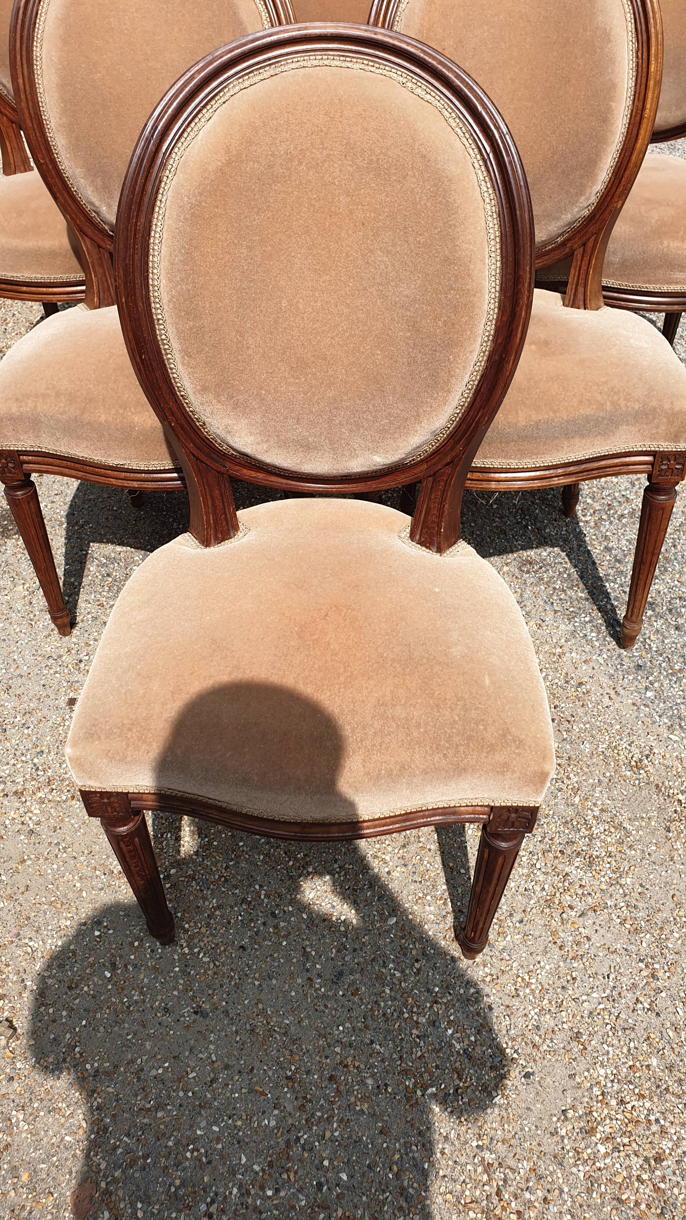 6 Louis XVI medallion chairs