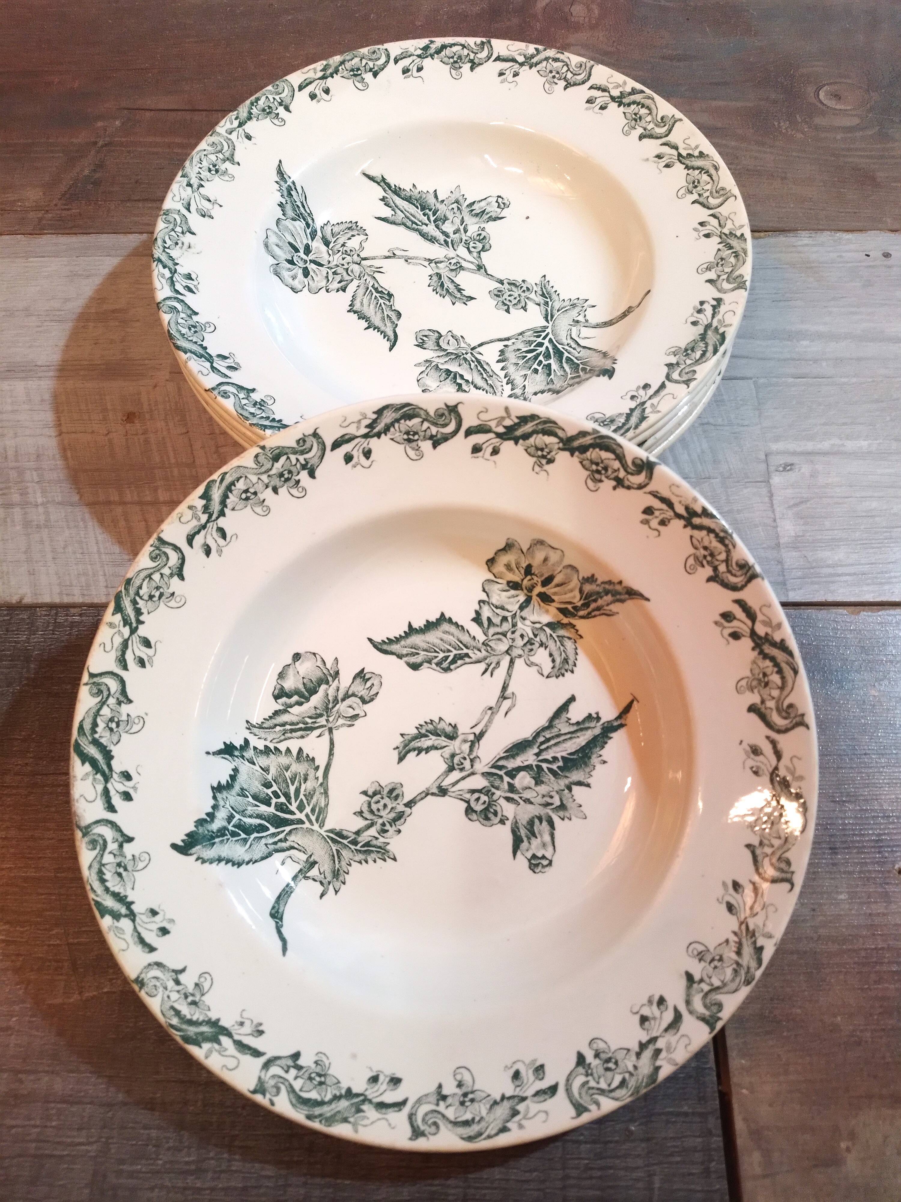 Plates x6 St Amand iron earth 1900s
