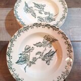 Assiettes x6 St Amand terre de fer 1900s